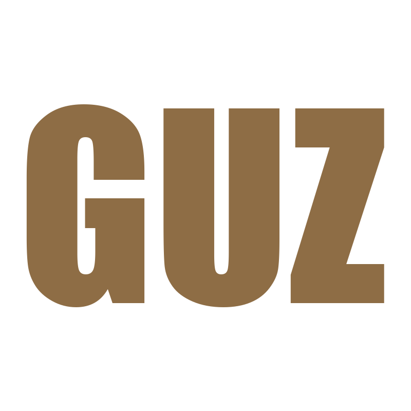 DJ GUZ | Official Site